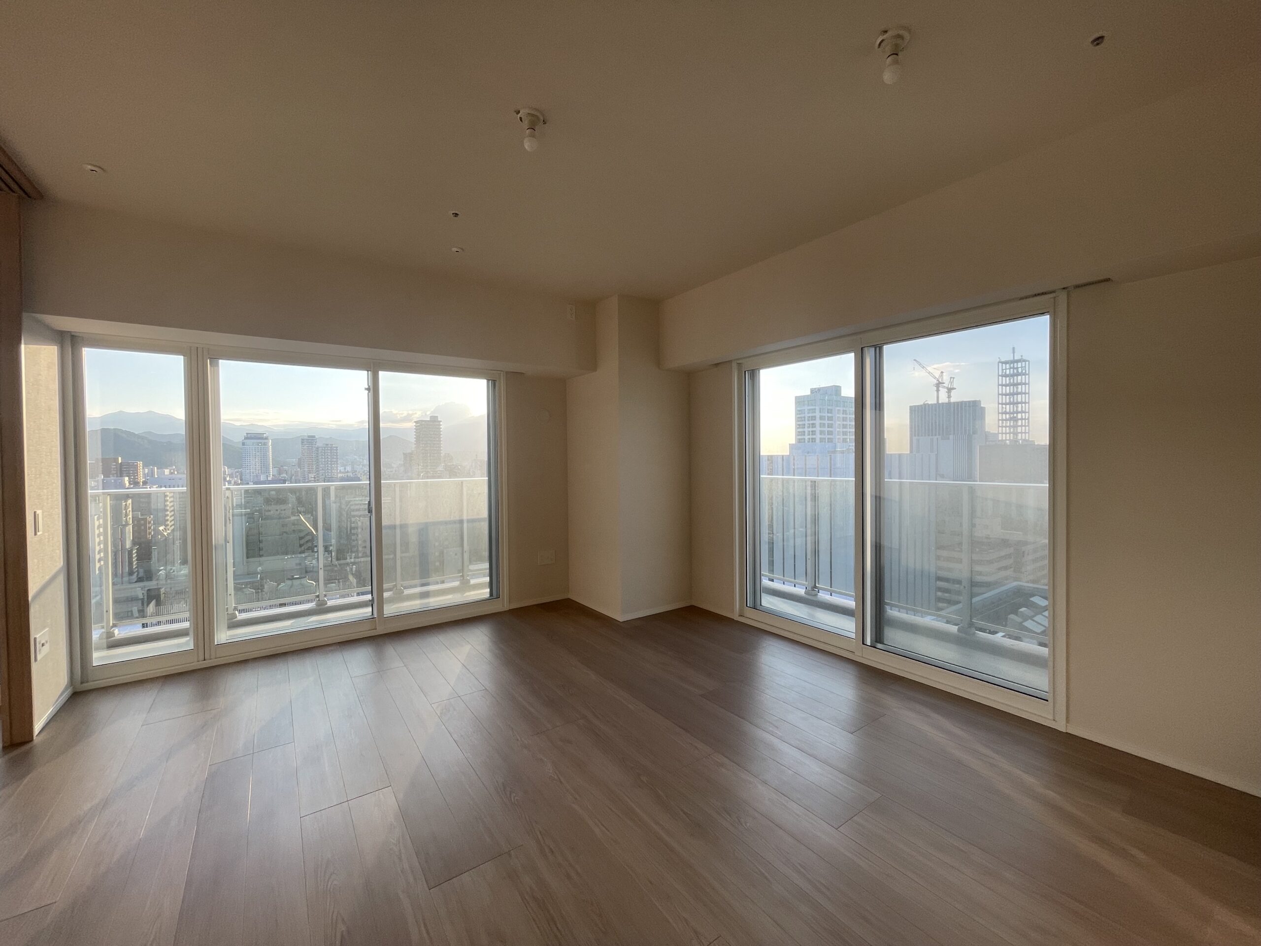 ライオンズタワー札幌 1301