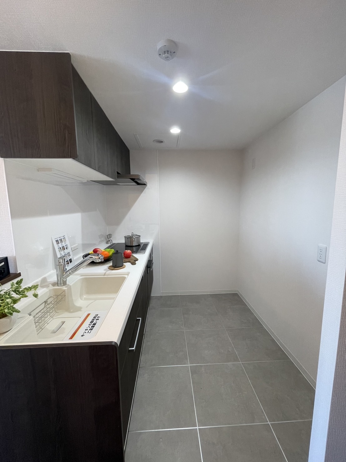 ライオンズマンション札幌スカイタワー 2009